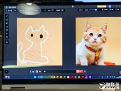 机能平均提拔58％